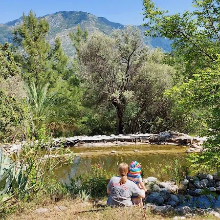 The Lazy Olive Private And Natural Pool Near Antique Olympos Hotel