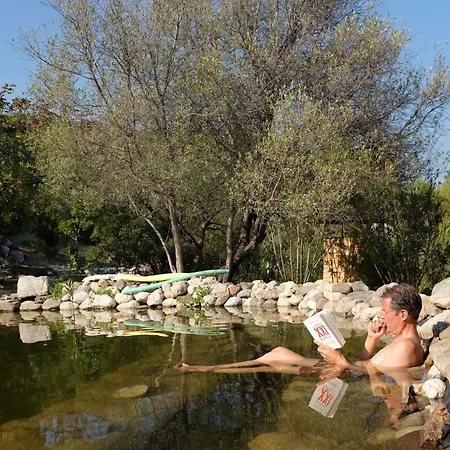 Hotel The Lazy Olive Private And Natural Pool Near Antique Olympos Kumluca