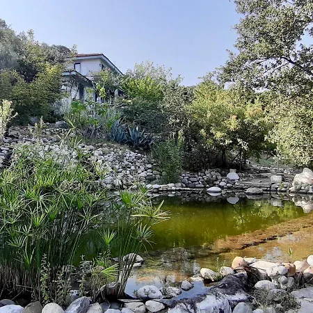 The Lazy Olive Private And Natural Pool Near Antique Olympos Hotel 4*