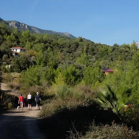 Hotel The Lazy Olive Private And Natural Pool Near Antique Olympos