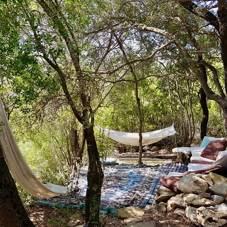 The Lazy Olive Private And Natural Pool Near Antique Olympos 4*